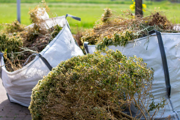 Best Professional Junk Removal  in Sunland Park, NM